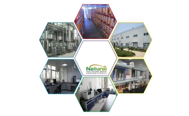 qyherb factory