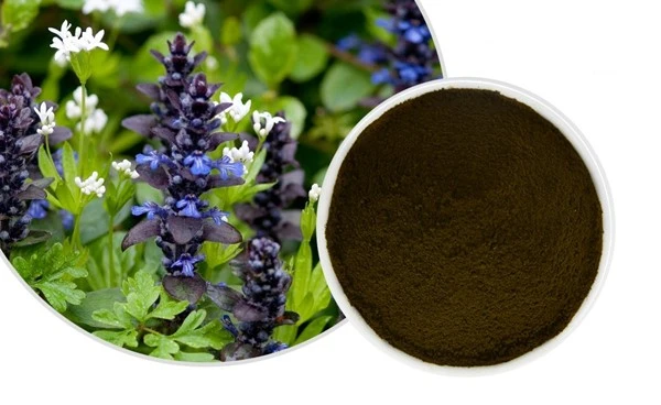 Turkesterone Powder Turkesterone Powder