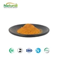 Curcumin 99 procent