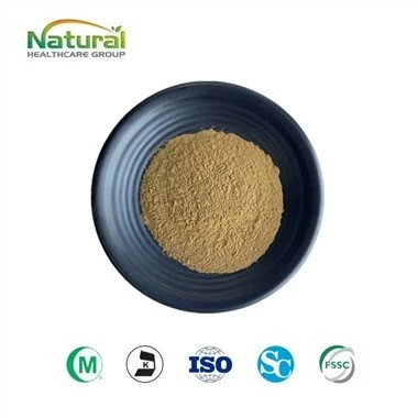Safed Musli extraktpulver