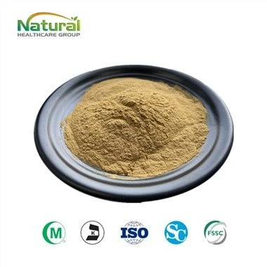 Silybin 90%