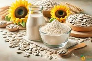Organiskt solrosfröproteinpulver kontra ekologiskt pumpafröproteinpulver